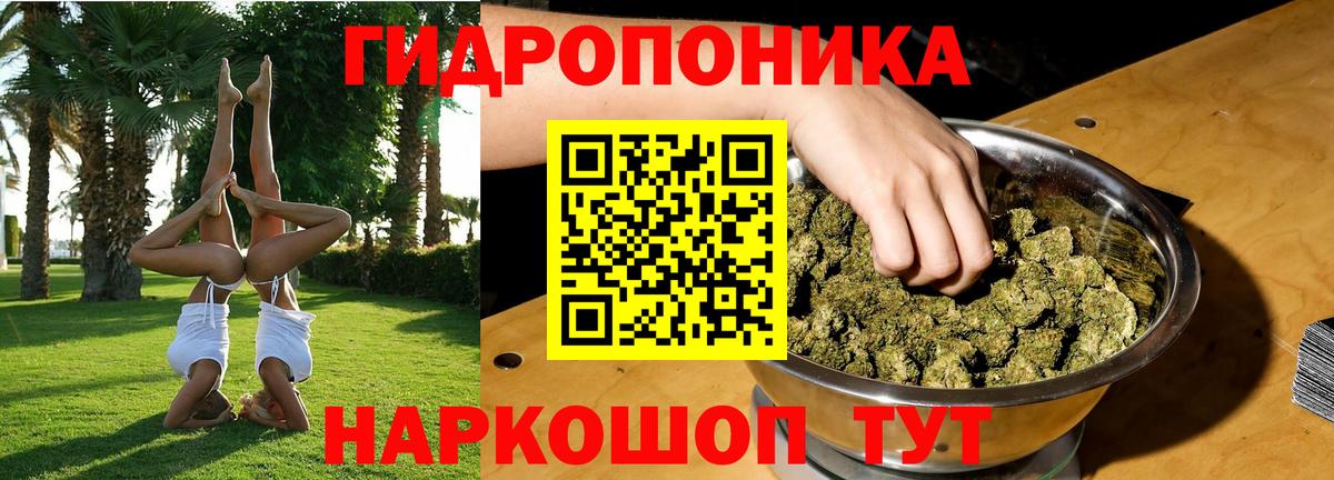 Бошки Шишки гибрид Жигулёвск